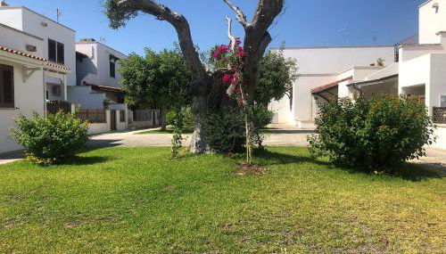 Odegos appartamento Matilda - Foto 2, Garden, Garden view