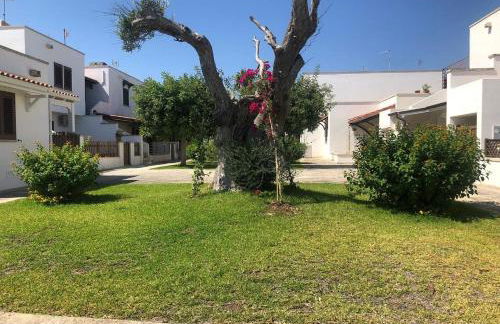 Odegos appartamento Matilda - Foto 2