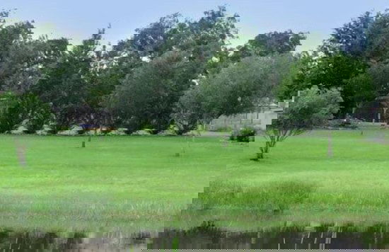 Francolin Creek - Foto 36