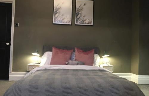 Albert Rd Aparthotel - Foto 62