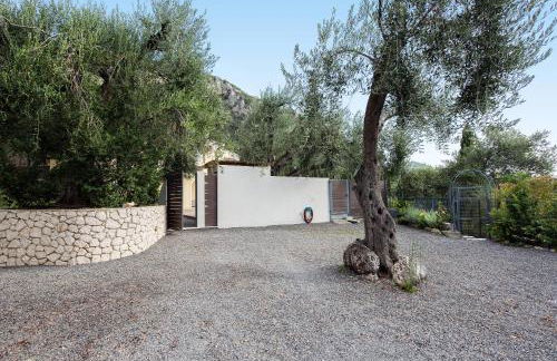 Ionian Sun - Foto 53