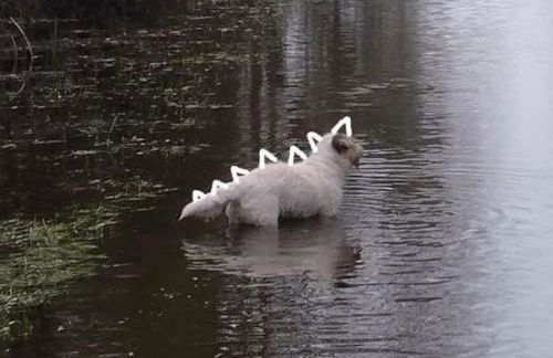 maison de village - Foto 12