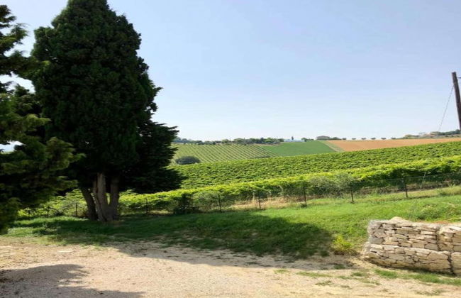 Apartment in Ascoli Near Sea Beach - Foto 40