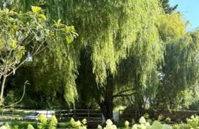 Los Sauces - Villa en Carriazo, Ribamontan al Mar, Cantabria - Foto 5