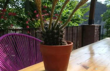 Casa in campagna oltrepo' pavese - Foto 18