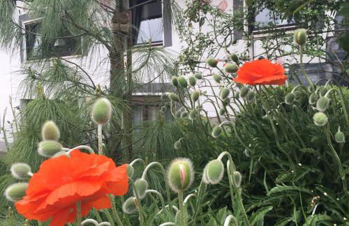 Haus Sonnenschein - Foto 11