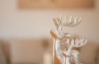 Grüne Hufe - Foto 34