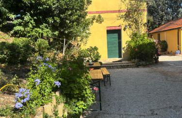 Agriturismo Fattoria Del Colle By Enrico - Foto 11