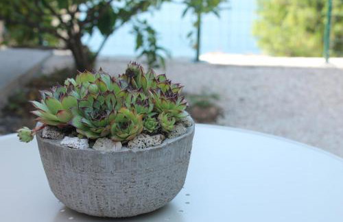 Bella Vista - Foto 42