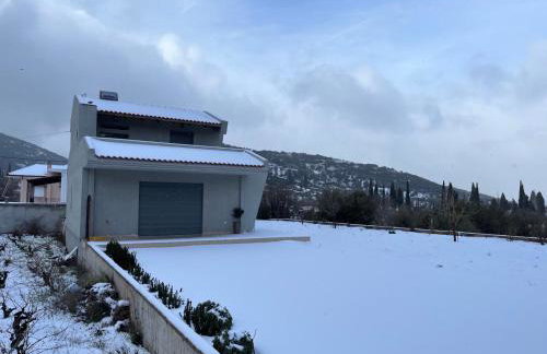 Stellas guesthouse near Arachova - Foto 13