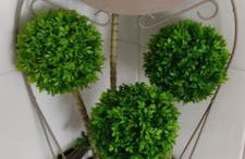 Quinta Turki Malika - Foto 11