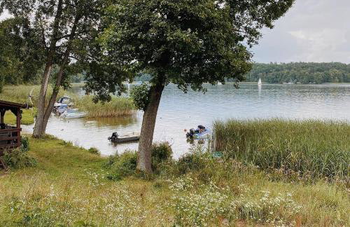 Ostoja Brzozowa - Foto 19