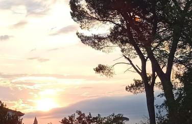 Casa Angelina Altopascio Lucca - Photo 17