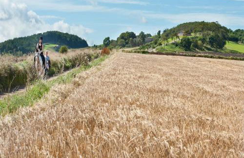 3 Bed in St. Andrews oc-88420 - Foto 18