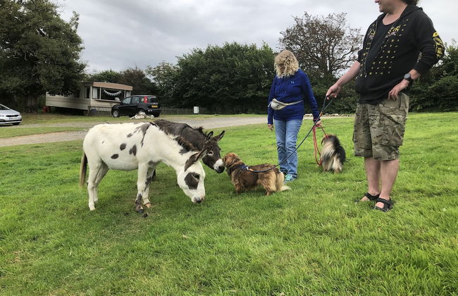 Fosfelle Glamping - Photo 35