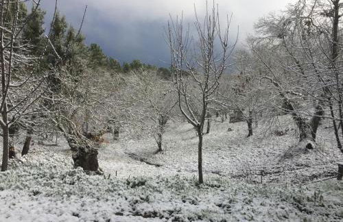 Viviendas Rurales del Robledo - Foto 21