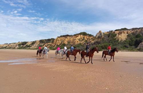 Brisa Marina Apartamento con vistas al mar - Foto 40