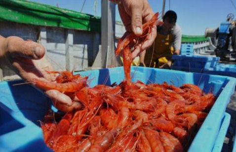 Garrucha Calma y Luz - Foto 24