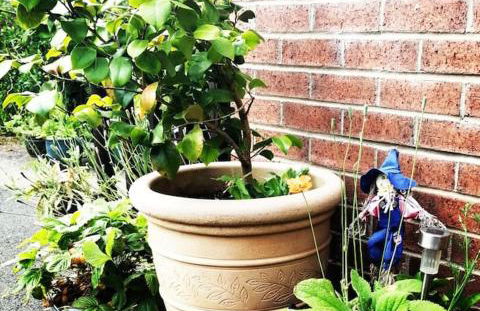 Garden Apartment Morpeth- with lockable bike storage! - Foto 31