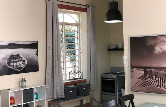 Gladiolas 1 209 - Foto 6