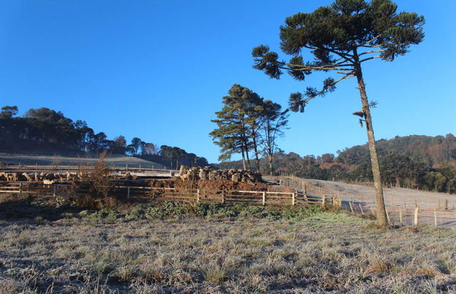 Tour dei Caminhos de Pedra - Foto 7