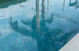 Deep Blue Sea - Photo 46