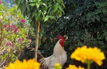 Mountain Breeze Cottage - Foto 27