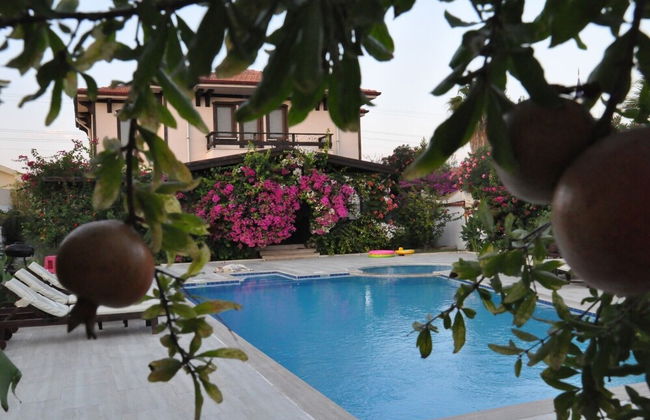 Beautiful 4-bed Villa Private Pools - Photo 15