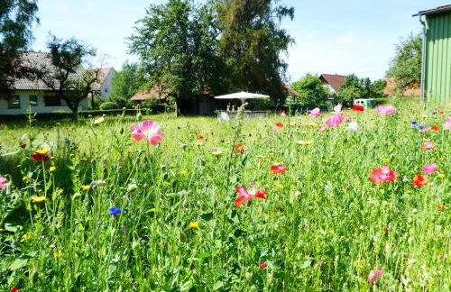 URIA Ferienwohnung - Photo 16