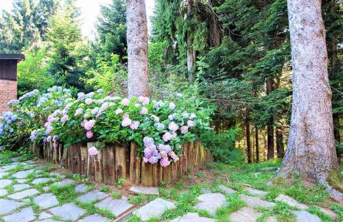 Milano Country Club - Villa with private pool and garden - Foto 41