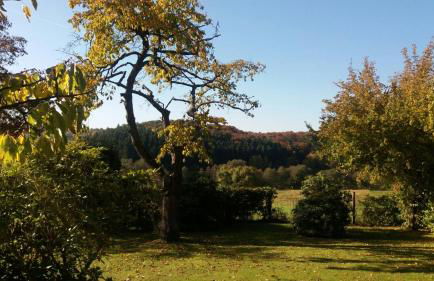 Spatzennest Löbach - Foto 10