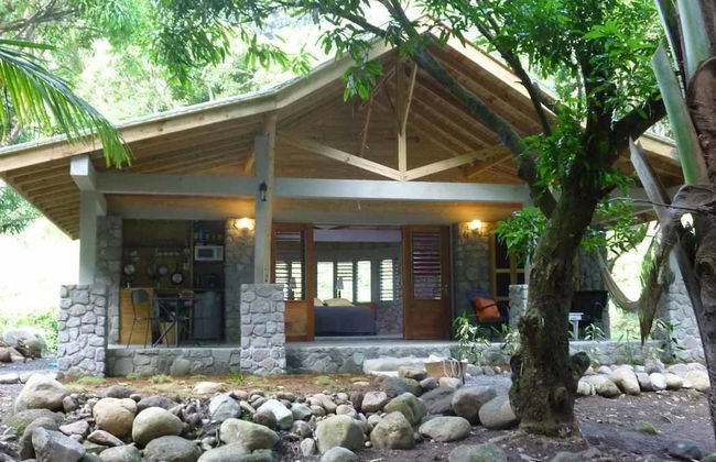 Citrus Creek Plantation - Photo 63