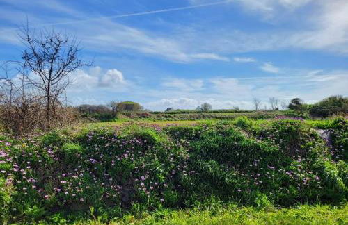 Gîte coquet et coloré au Conquet - Foto 23
