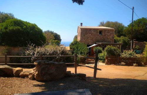 Cottage bergerie en pierres avec jacuzzi en corse 6 personnes, 3 chambres - Foto 4