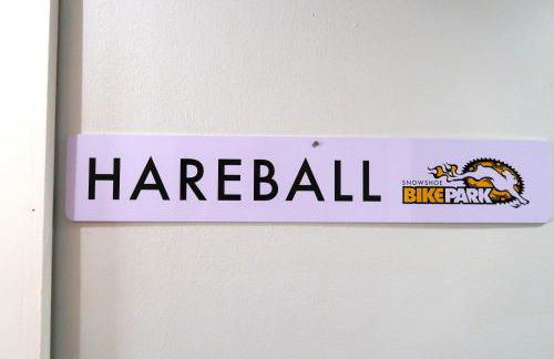 Snowshoe Mountain Studio! Renovated! - Foto 34