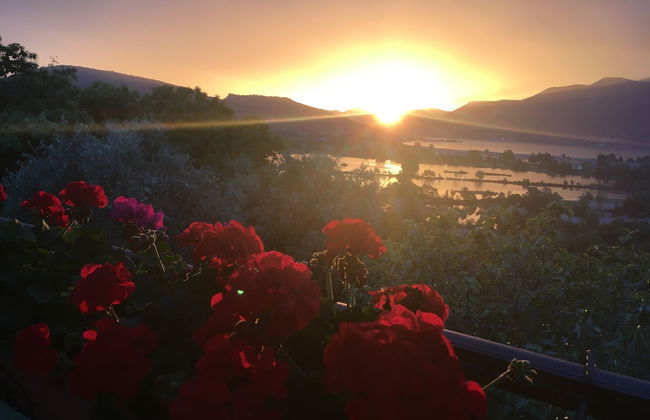 AGRITURISMO FOREST B&B - Foto 30