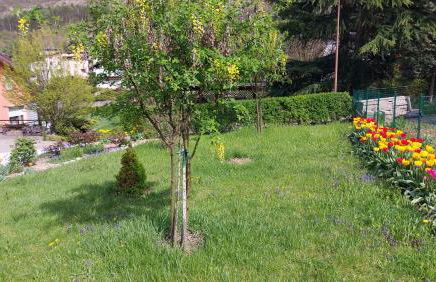 Appartamento Maurizio - Foto 38