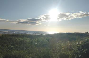 Casa Aigua Blanca Oliva - Photo 23