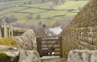 Fern Cottage - Cosy Dales Cottage in Nidderdale - Photo 36