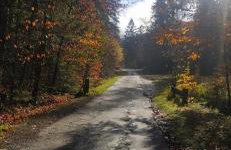 Górska Willa w Parku Krajobrazowym - Foto 16