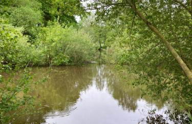 Hireu's Hus - Foto 54