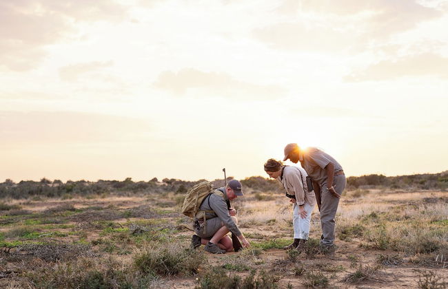 Melton Manor - Photo 26