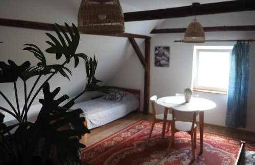 Sielska Oaza - siedlisko wiejskie z domem całorocznym - Foto 23