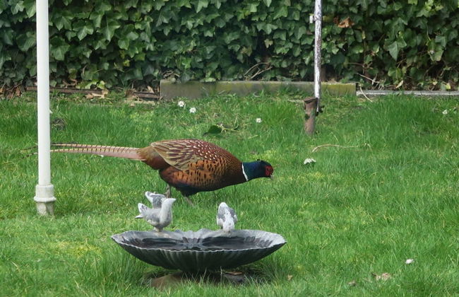 North Sea House Schillig - Foto 23