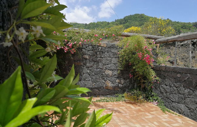 Viola nel Parco - Foto 25