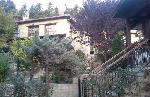 Τα Πέτρινα της Ελάτης - Petrina Elatis - Foto 61