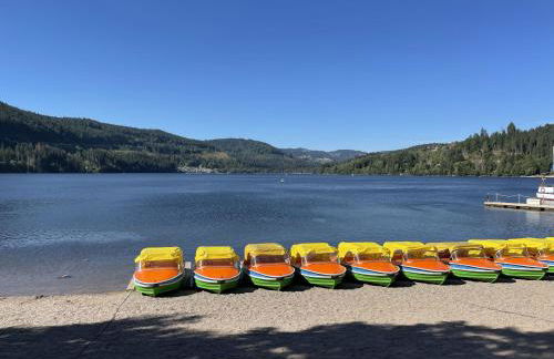 Ferienwohnung Penthouse Feldberg - Foto 38