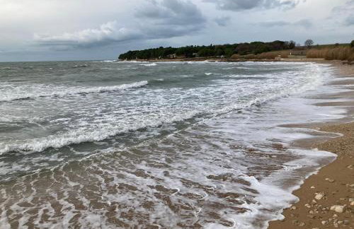 App Sorgo - Photo 68