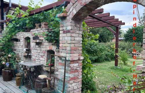 Spindlerhof am Harz - Foto 18