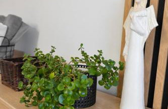 Apartamenty Tilia Laskowa - Zator - Foto 60